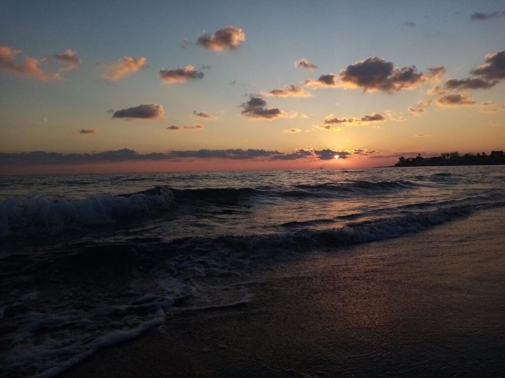 Seda Dağ – 2026-02-13 13:09:09