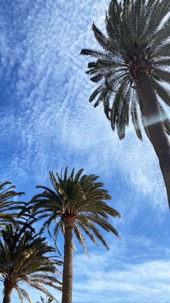 Mahmut Büyük – 2026-02-13 13:33:45