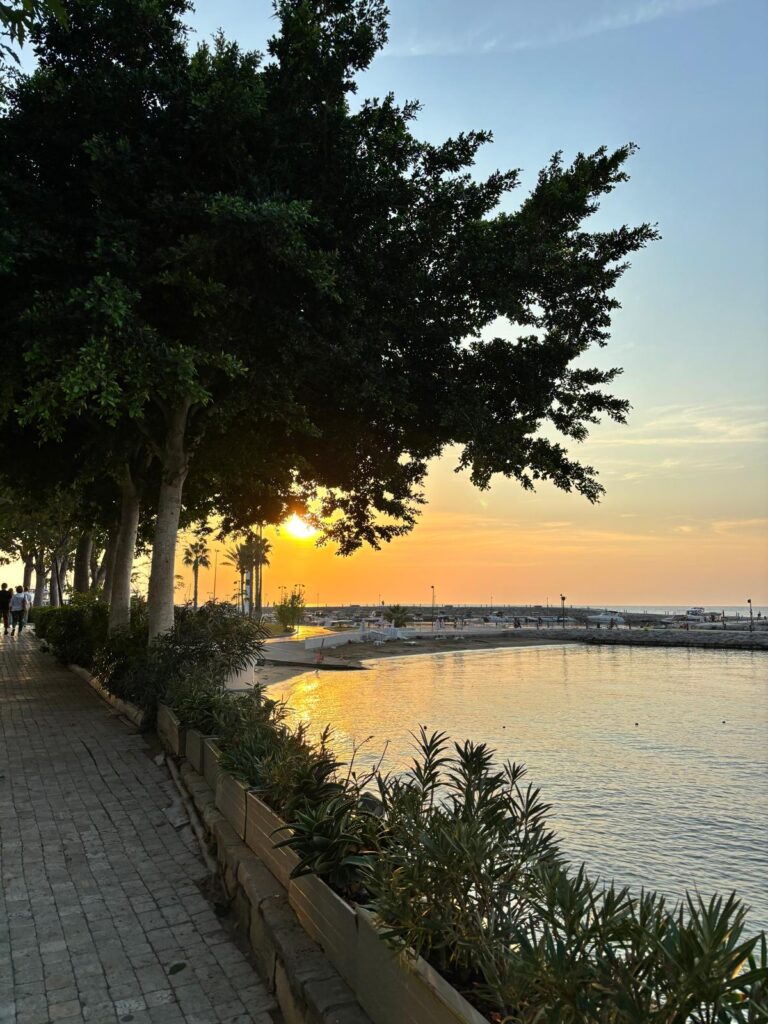 Mahmut Büyük – 2026-02-13 13:32:08